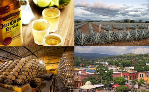 Tequila, pueblo mágico - Comecuamex