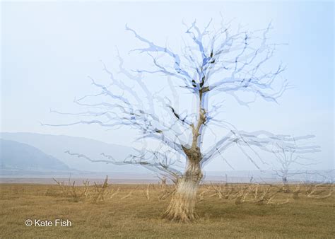 Image result for Doppelbelichtung Tutorial