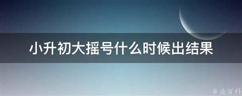 小升初大摇号什么时候出结果 - 业百科