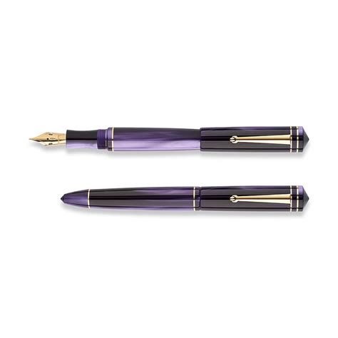 Delta Write Balance Purple GT Fountain Pen – AARCAAI
