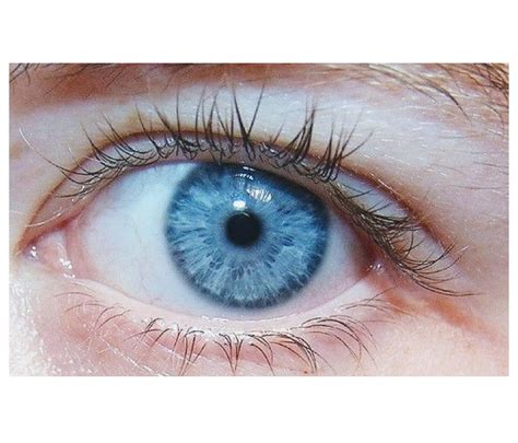 Pin de Roxane Picard-Marouzé em Enregistrements rapides | Sombra para ...