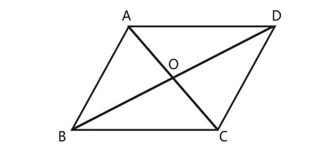 平行四边形对角线互相平分对吗_初三网