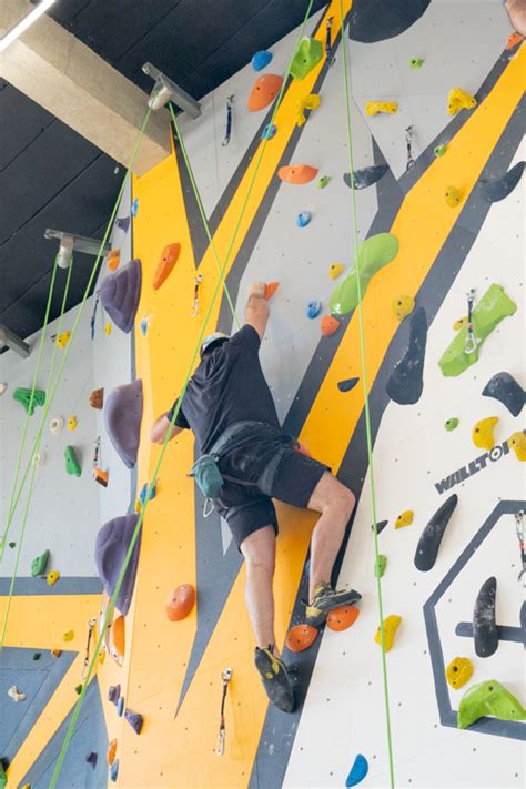 Image result for Minecraft Tree Lab