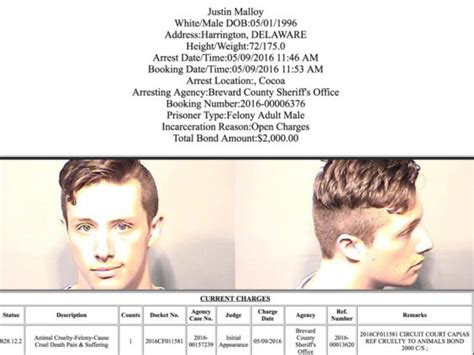 Arrests In Brevard County: May 10, 2016 - Space Coast Daily