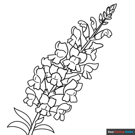 Snapdragon | Coloring pages for kids, Flower coloring pages, Snapdragon ...
