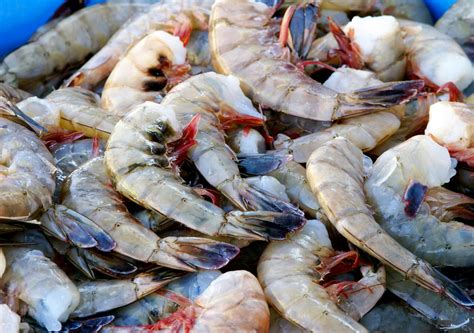 MSC/ASC Chain of Custody (CoC) Certification | SGS