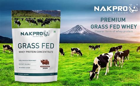 NAKPRO Grass Fed Whey Protein Concentrate | 28g Protein, 6.1g BCAA ...