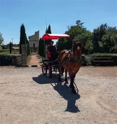 LES ATTELAGES DU SUD OUEST - All You Need to Know BEFORE You Go (with ...
