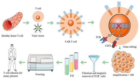 CAR-T Cells in the Treatment of Ovarian Cancer: A Promising Cell Therapy