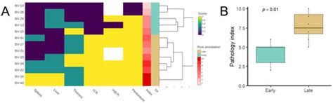 Experimental Mycobacterium microti Infection in Bank Voles (Myodes ...