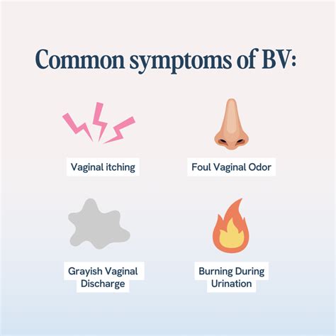 What is BV? Spotting and Preventing Bacterial Vaginosis - Happy V