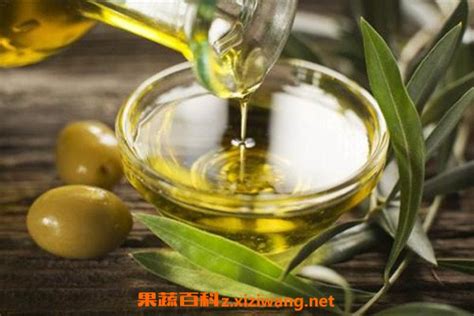 橄榄油怎么吃比较合适 橄榄油的正确食用方法 - 闽南记录