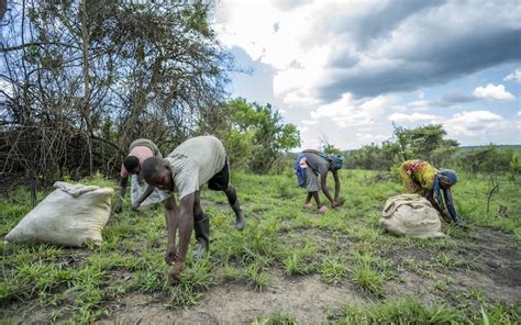 Rdf Feed 的图像结果