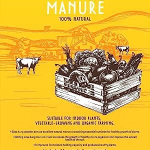 Green Roots Cow Dung Manure 100% Natural Dried Cow Dung Powder for ...