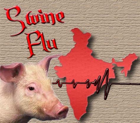 India's swine flu death toll rises to 262 | TopNews