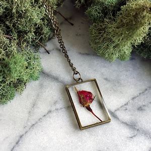 Amber Module Review 的图像结果