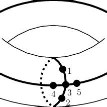 Image result for Butterfly Graph Sinus