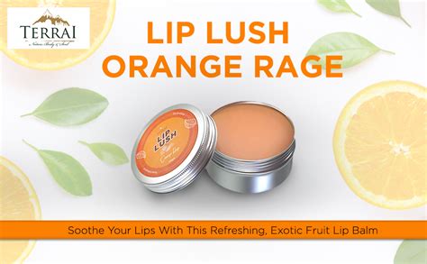 Buy Terrai Natural Lip Balm (30g) for Women & Men I Rich in Vitamin C ...