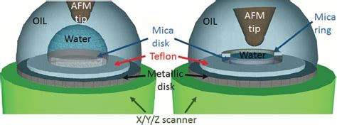 Image result for Liquid Phase AFM