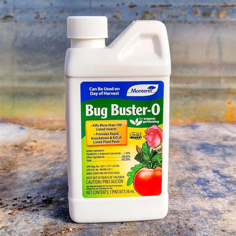 Bug Buster O | Cucumber beetles, Pests, Flea beetles