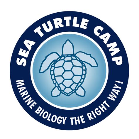 Rezultat imagine pentru Turtle Predators