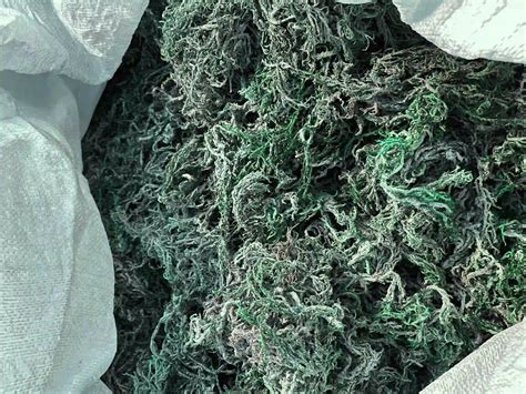 Wholesale Raw Sea Moss