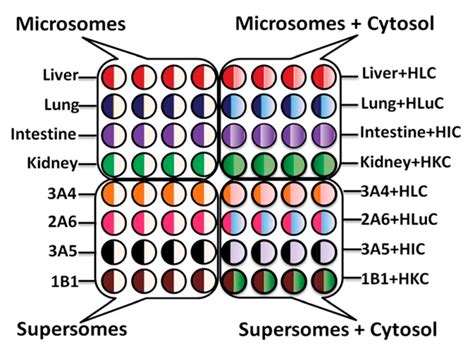 Screening Genotoxicity Chemistry with Microfluidic ...