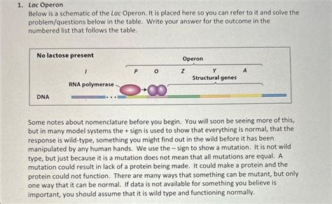 Image result for Lac Operon Flow Chart