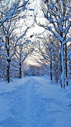 Iphone Winter Wallpaper by Free Winter Wallpapers For Iphone Pixelstalk Net Iphone Winter Wallpaper