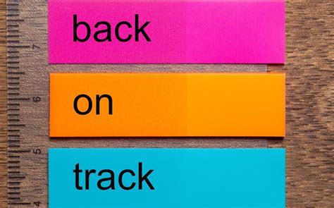 Discover 149 Words That Rhyme with Cat Today