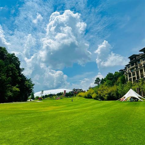 Four Seasons Evergreen Dwarf Grass Seeds – Richjeen