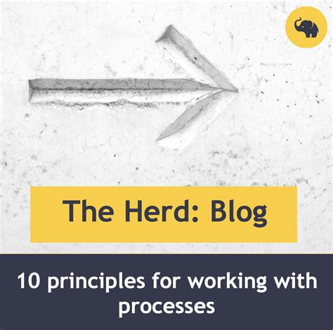 Image result for Processes