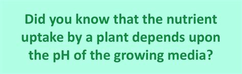 City Greens Hydroponics Concentrated pH Up, pH Down Solution -Total ...