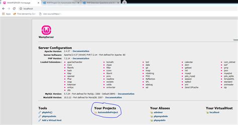 Localhost Project 的图像结果