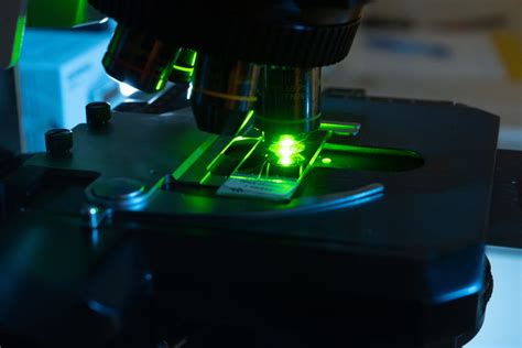 Katlynngould - Best photos on dibujosparaimprimir.net