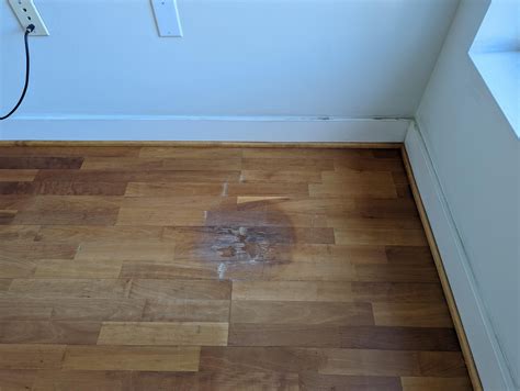 Water damaged engineered wood floor from a potted plant. Can I lightly ...