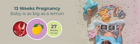 13 Weeks Pregnant Symptoms, Belly, Baby Size, Foods to Eat and Tips