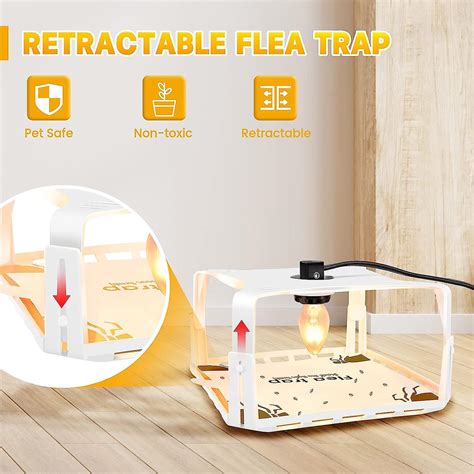 Homemade Flea Traps