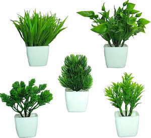 MJ Artificial FlowerPot 5 Morden Greenery With Bachha Pot Bonsai Wild ...