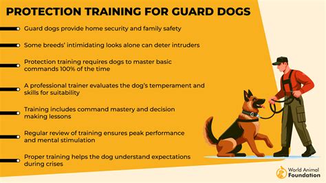 Training Guard Dogs for Protection 的图像结果