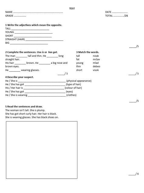 Class 5 Test Questions 的图像结果