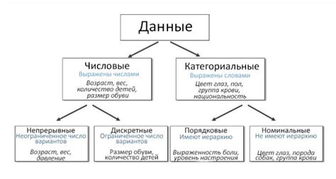 Статистика и данные OTUS