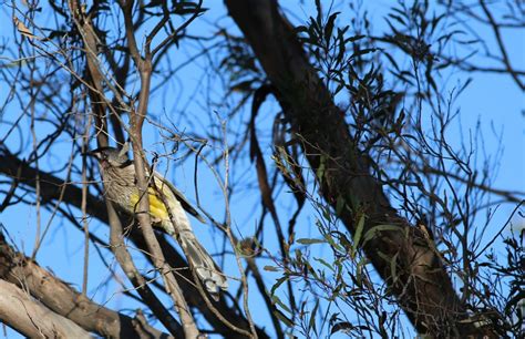 Image result for Nature Object Lessons