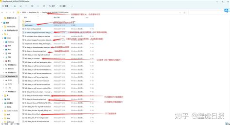 Deepfacelab Tutorial 2021 的图像结果