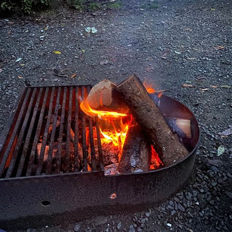 Alfred A. Loeb State Park Campground | Brookings, Oregon