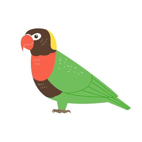 Image result for Simple Hand Drawn Parrot