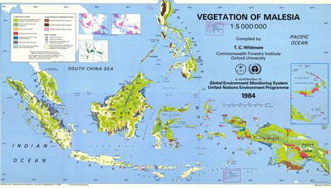 Malay Archipelago Island