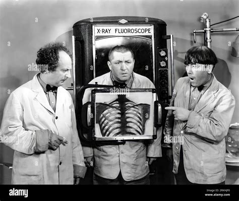 MOE HOWARD, LARRY FINE, CURLY HOWARD and THE THREE STOOGES in DIZZY ...