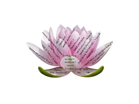 Image result for Blossom Algorithm Code