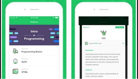 Image result for Free Programming Apps
